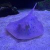 zach_15900