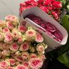 hadeelbeauty9