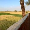 abdullahyunus41