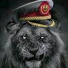 adnanriaz703