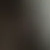 goldi_835