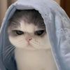 hafsa.masoud0