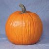 pumpkinice1