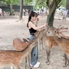 huongtit36