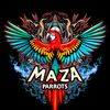 Maza Parrot