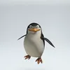 penguinopenguini