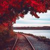 ghina_alsham