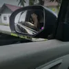 michael_cn7