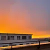 lenia_o72