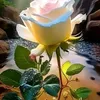 meeryam34