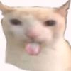 pepeslayer24wee