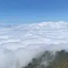 thai_teaori0
