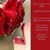 user748461086680
