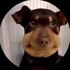 abcxyzedgar