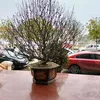 manhhung.a