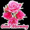 mdalinur_an1235