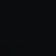 555_fv