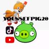 youssefpig20