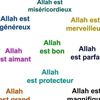 user3325924076110