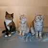 houseof.catz