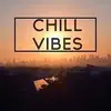 vibesandchillss