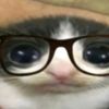 aritodeecebolla