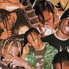 lifeoftravisscottswife