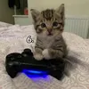 davo_sk