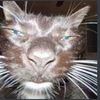 skippy_0123