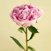 _joselyn_33