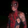 spider.0.bitchies