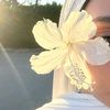 sohailamohmoud1