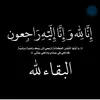 ail_313j