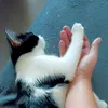 moussemoustaf