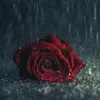 wwwjhevhiievvdjiir