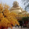 tuanphamvan129