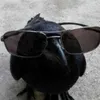 cioara2000