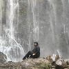 shafizashafie88