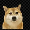 crtomcat7