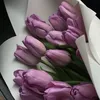 sanaa_jaleel