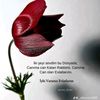 elnare_2828