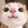 ongong7