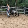 ponylove59