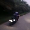 .knzzoo