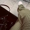 aisha.almegrahi