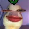 uoiea____