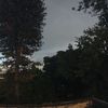 josepeixo