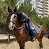 Qızıl Nal Atçılıq🏇🏻