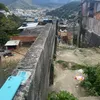 kauafiel26