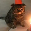mimidayy6